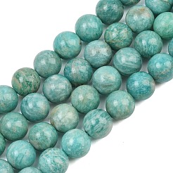 Fili di perline amazonite naturale&nbsp;G-F461-12-10mm-01