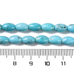 Natürliche Howlith Perlen Stränge&nbsp;G-H025-02B