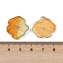Perles en verre transparentes&nbsp;DGLA-E004-02L