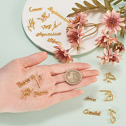 Zwölf Sternbilder aus Legierung mit Cabochons&nbsp;DIY-CJ0001-29