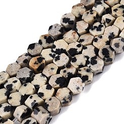 Chapelets de perles en jaspe dalmatien naturelle&nbsp;GG-N002-02A-02