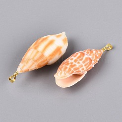 Grandi ciondoli in ottone e conchiglia mitra naturale&nbsp;SHEL-Q029-17KCG
