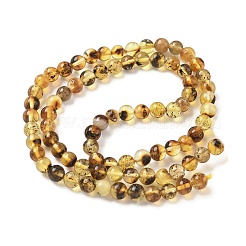 Perles d'ambre naturel brins&nbsp;G-L095-B01-5mm-03