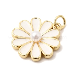 Pendentifs en laiton&nbsp;KK-Z160-12G