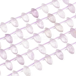 Natürlichen Amethyst Perlen Stränge&nbsp;G-P607-A05-01