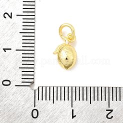 Breloques en laiton&nbsp;KK-C139-27A-G