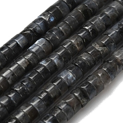 Natürliche Larvikit-Perlenstränge&nbsp;G-Z110-A05-2x4mm