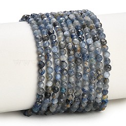 Fili di perline di cianite cianite naturale di distene&nbsp;LS-GG-CBABEF5-A01-3mm-A