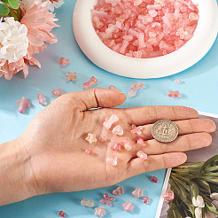Kits de fornituras para hacer joyas de diy&nbsp;DIY-TA0012-46