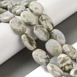 Natürliche Frieden Jade Perlen Stränge&nbsp;G-B078-F01-01