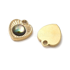 Natur Paua Muschel Anhänger&nbsp;STAS-G397-17G-02