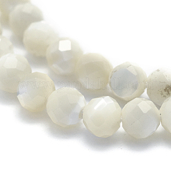 Natürlichen weißen Muschelperlen&nbsp;G-O171-09-6mm