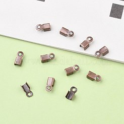 Eisenklapp Crimp-Enden&nbsp;IFIN-ZX994-R-01