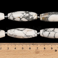 Natürliche Howlith Perlen Stränge&nbsp;G-L654-G17-01