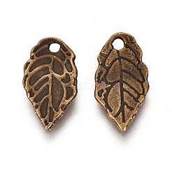 Tibetische Stil Anhänger & Charms&nbsp;TIBEB-A101863-AB-FF