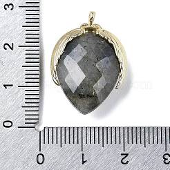 Natur Labradorit Anhänger&nbsp;G-U019-01G-02