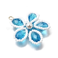 Pendentifs en verre&nbsp;PALLOY-TA00313-01