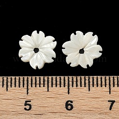 Natürliche Trochus Muschel Blumen Charms&nbsp;SHEL-K006-46B