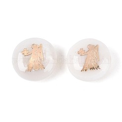 Perles de coquillages naturels d'eau douce&nbsp;SHEL-N037-02J-G