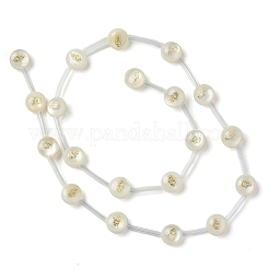 Naturali di acqua dolce perline shell fili&nbsp;BSHE-B005-13G