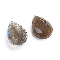 Natur Labradorit Cabochons&nbsp;G-L514-031C