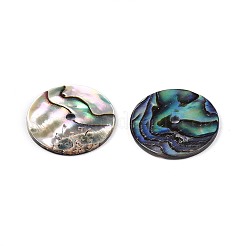 Paua Shell naturale perle&nbsp;SSHEL-N040-20B