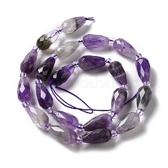 Natürlichen Amethyst Perlen Stränge&nbsp;G-B028-A10