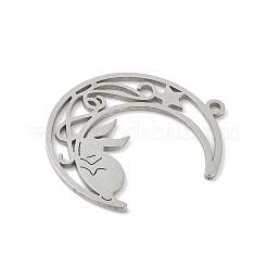 Pendentifs en acier inoxydable 304&nbsp;LS-STAS-Q354-01P