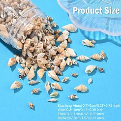 90g 2 Stile natürliche Spiralmuschelperlen&nbsp;SSHEL-YW0001-09