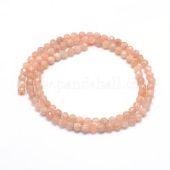 Natürliche sunstone Perlen Stränge&nbsp;G-E411-13B-4mm