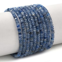 Natürliche kyanite Perlen Stränge&nbsp;G-K376-E04-02