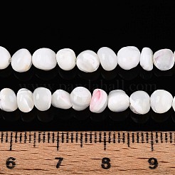 Natürliche Trochidschale / Trochusschalenperlenstränge&nbsp;SSHEL-N040-06