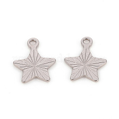 Anlaufgeschützte Charms aus Edelstahl 201&nbsp;STAS-L244-18P