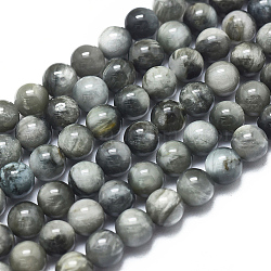 Natural Eagle Eye Beads Strands, Round, 4mm, Hole: 0.8mm, about 96pcs/strand, 15.55 inch(39.5cm)