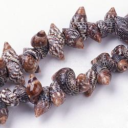 Cuentas de concha de caracol naturales hebras, concha, 5~10x12~17x6~10mm, agujero: 1 mm, aproximamente 94 pcs / cadena, 15.3 pulgada (39 cm)