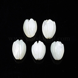Concha de troquido natural / cuentas de concha de troco, flor, blanco, 10x7.5mm, agujero: 1 mm