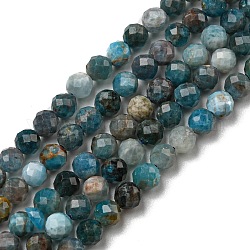 Perline apatite naturale fili, sfaccettato, tondo, 4mm, Foro: 1 mm, circa 95pcs/filo, 15.35 pollice (39 cm)
