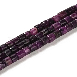 Perles naturelles de perles de lépidolite, colonne, 4x4mm, Trou: 0.9mm, Environ 100 pcs/chapelet, 15.94 pouce (40.5 cm)