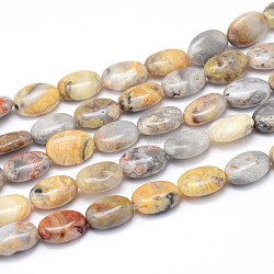 Agate folle plat naturel brins de perles ovales, 14x10x6mm, Trou: 1mm, Environ 29 pcs/chapelet, 15.7 pouce