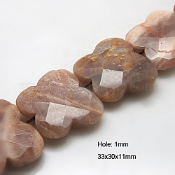 Natural Sunstone Beads Strands, Faceted, Butterfly, Light Salmon, 30x33x11mm, Hole: 1mm, about 13pcs/strand, 15.5inch