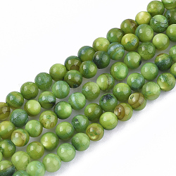 Shell perle d'acqua dolce fili, tinto, tondo, verde, 4mm, Foro: 0.8 mm, circa 95pcs/filo, 14.96 pollice (38 cm)