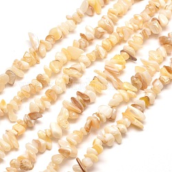Chapelets de perles de copeaux de coquille d'eau douce naturels, tessons shell, 5~8x5~8mm, Trou: 1mm, environ 31.5 pouce