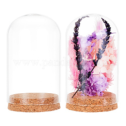 Couverture de dôme en verre de colonne, vitrine décorative, cloche cloche terrarium avec base en liège, pour un cadeau de fleurs préservées bricolage, clair, 80x150mm