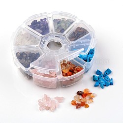 Perles de pierre gemme en chips, Comprend la fluorite naturelle et le quartz rose et l'oeil de tigre et l'améthyste et la cornaline et le cristal de quartz et le quartz fumé et la howlite synthétique, 7~12x5~8x3~5mm, Trou: 0.3mm, environ 560 pcs / boîte