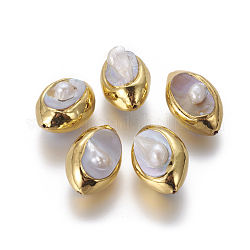 Perle di perle d'acqua dolce coltivate di perle barocche naturali, con i risultati in ottone placcato oro, pepite, oro, 28~30x19~21x14~17mm, Foro: 1 mm