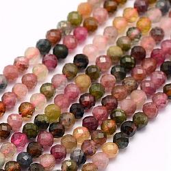 Chapelets de perles en tourmaline naturelle, facette, ronde, 3mm, Trou: 0.5mm, Environ 132 pcs/chapelet, 15.5 pouce (39.5 cm)
