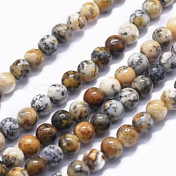 Natürliche schwarze Moos Jaspis Perlen Stränge, Runde, 6 mm, Bohrung: 1 mm, ca. 68 Stk. / Strang, 15.7 Zoll (40 cm)