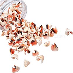 Perles de coquillage en spirale naturelle, 10~12x10~13x8~10mm, Trou: 1mm, environ 100 pcs / boîte