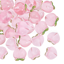 Pandahall elite transparente kunststoffperlen, Hälfte gebohrt, Pfirsich, rosa, 15.5x17x11 mm