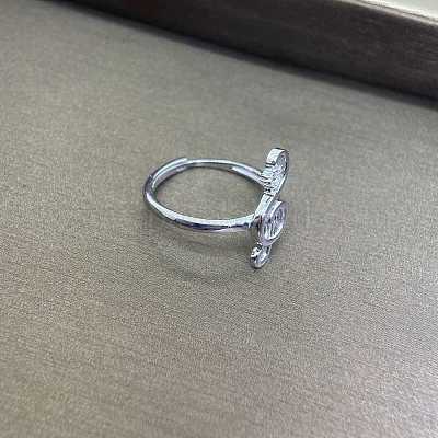 Sterling Silber Ringe&nbsp;PW-WG39601-01-1